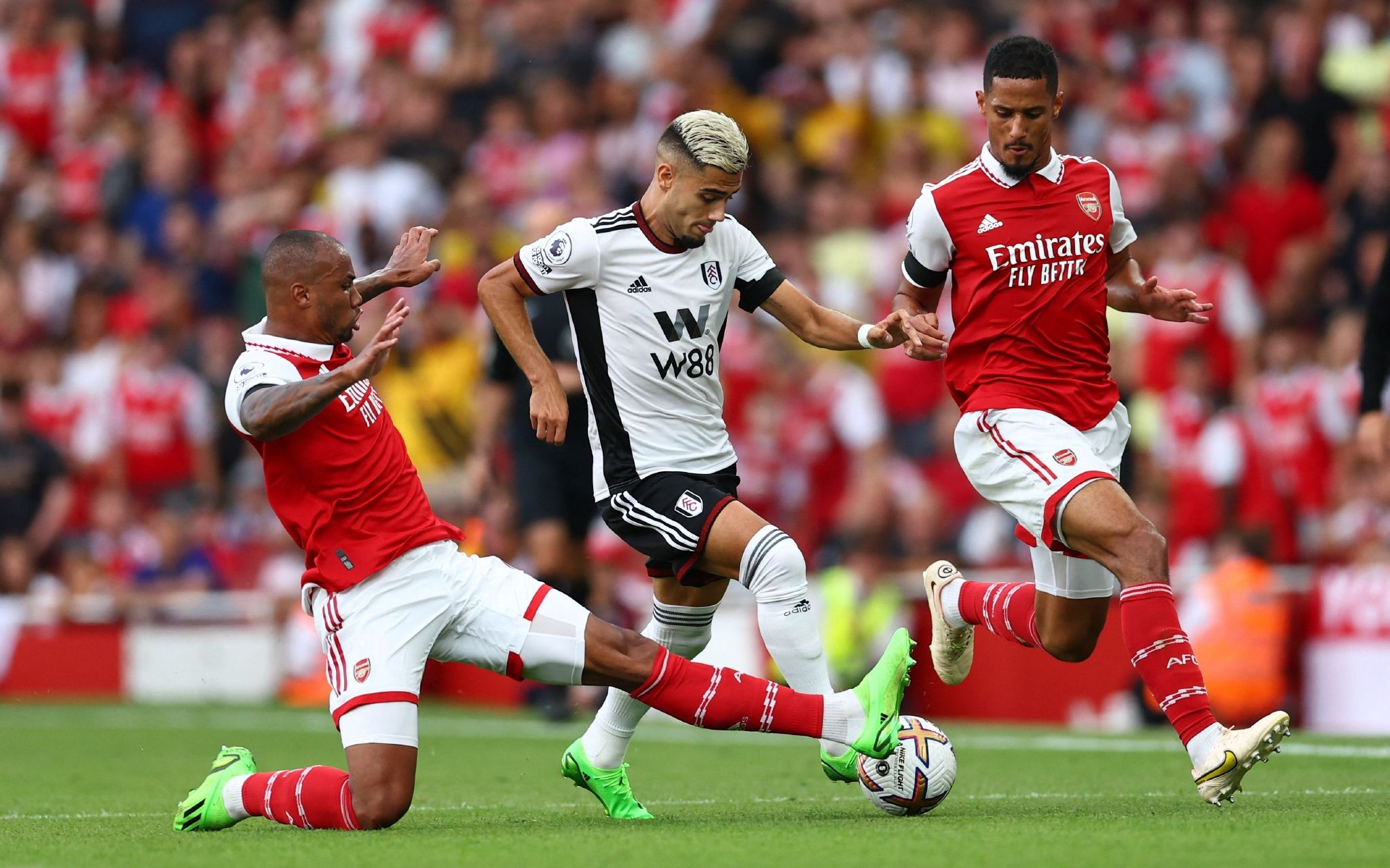 维尼已经取 维尼已经取